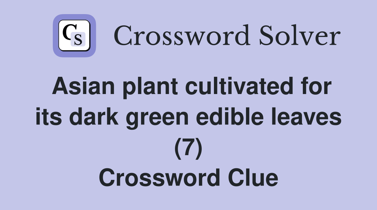 Asian plant cultivated for its dark green edible leaves (7) Crossword